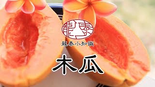 [龍泰草本坊] 龍泰小知識-木瓜