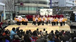 「静岡大学　お茶ノ子祭々」　浜よさ　がんこ祭2015　２日目