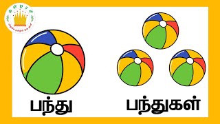 ஒருமை பன்மை | Orumai Panmai | Learn Singular Plural in Tamil for Kids \u0026 children|Tamilarasi