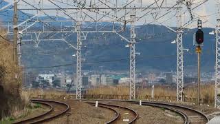 JR東海道線 特急踊り子 185系 根府川駅通過