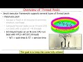 Overview of the Java Executor Framework (Part 1)