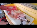 소래포구 난전 어시장 왔구나 자연산 봄도다리 2만원에 배터지게 먹는 방법은 korean fish market channel.