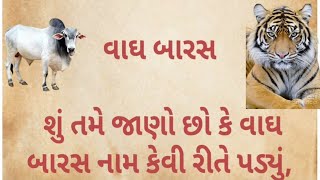 વાઘ બારસ / vadh Baras / વાઘ બારસ એક કથા