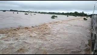 காஞ்சிபுரம் பாலாற்றில் வெள்ளம் வரும் காட்சி 😍| #orikkaipalar | #KanchipuramPalar | #PalarRiver |