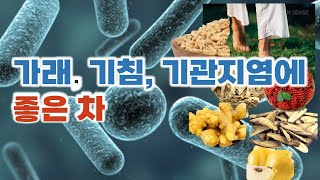 [071] 감기 없는 겨울, 기관지염을 다스리는 차 만들기