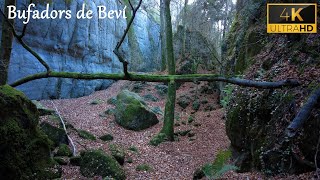 🍃 Magical Forest 🧙‍♀️ Bufadors de Bevi 🏞️ Incredible hiking trails