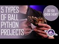 5 Types of Ball Python Projects | Pets to $$$ Snakes!