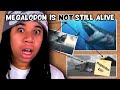 THEY LIED TO US ABOUT MEGALADON?! (Lindsay Nikole)