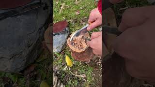 【フェザースティック着火】Helle Knives Temagami in 14C28N #shorts #bushcraft #bonfire