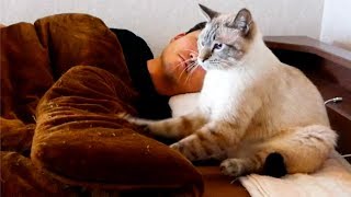 朝っぱらからふみふみしまくる猫が完全におっさんな件