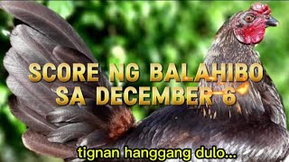 napakahusay ng mga kulay na ito sa dec.6 #chicken #rooster #ayam