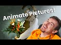Awesome Animating Pictures On Your Website!