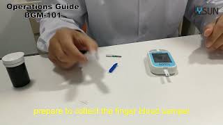 BGM 101 Blood Glucose Meter Operating Instructions