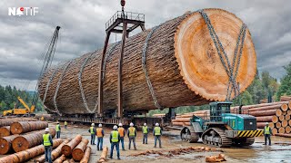 Nggak Perlu Tenaga Ekstra, Alat Canggih Ini Bikin Kayu Raksasa Seperti Mainan!