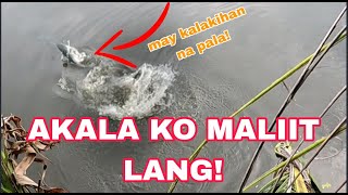 P1 GANDANG BUENA MANO AGAD /Airgun Fishing /Fishgunerong Madiskarte