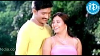 Pourusham Movie Songs - Nuvvena Nuvvena Song - Sunddar - Bhargavi - Ashi - Brahmanandam