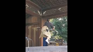 鍬海師家による柵太刀  #bushi #samurai #martialarts