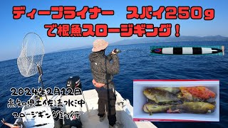 ディープライナー【スパイ】で根魚スロージギング！【アオハタ祭り！】