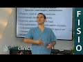 ¡Arregla tu postura con ejercicios, masajes y estiramientos! - FisioClinics Palma Mallorca