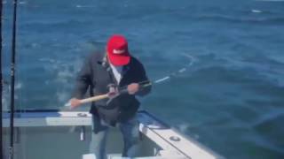 People getting pulled into the water by fish
