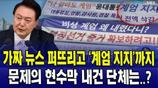 가짜 뉴스 퍼뜨리고 '계엄 지지'까지...문제의 현수막 내건 단체는?