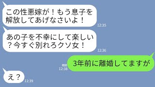 【LINE】夫母から突然ブチギレ連絡「もう息子を解放してあげて！あの子を不幸にして楽しい？」「3年前に離婚してますが」→勘違い姑が真実を知って顔面蒼白にwww