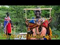 The Story of Maasai Honey: Women's Empowerment through Beekeeping