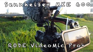 Sennheiser MKE 600 vs RODE VideoMic Pro+