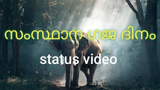 സംസ്ഥാന ഗജ ദിനം status video