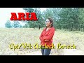 lagu Timor Viral,,ARIA #Cpt/Vcl: Anzlech Berech