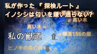 神奈川県・厚木市・愛川町・鳶尾山　点検の為に私が作ったジャングルの中の道をイノシシは人間のに匂いを嫌って通らないのかな？