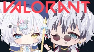 【Valorant】久々Valorant！マウスとマウスパッド変えたよ～～【鳴海エト/いーぶい！】