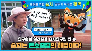 [국립생태원]연구원이 알려줄게! 습지연구팀편