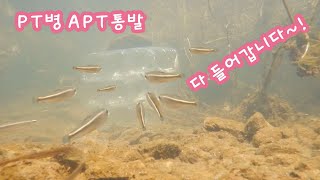 돈 한푼 안 들이고 최고로 우수한 통발 만들기 -- PT병 아파트 통발 최고 입니다    - quirky plastic bottle apartment complex