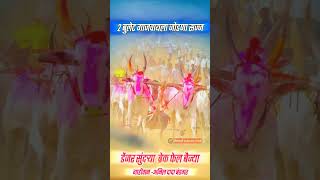 बुलेट मैदान गाजवायला जोडणा सज्ज | चंद्रापावाडी मैदान #ब्रेक फेल बैज्या #नाद  #बैलगाडाlover #मैदान