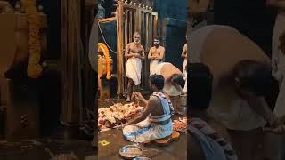 PADIPOOJA | SABARIMALAI | ശബരിമല #kerala #sabarimalaayyappan #sabarimala #padipooja #travel #shorts