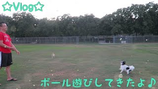 ☆Vlog☆ボール遊びしてきたよ♪　2020/08/23