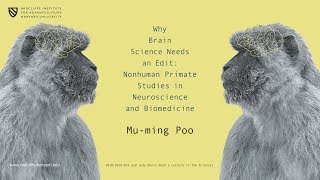 Why Brain Science Needs an Edit | Mu-ming Poo || Radcliffe Institute