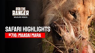 Safari Highlights #716: 01 September 2022 | Maasai Mara/Zebra Plains | Latest #Wildlife Sightings
