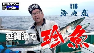 延縄漁で珍魚が釣れる！？