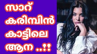 അപ്പോൾ സ്വന്തം ഭർത്താവോ !! |Motivational life stories