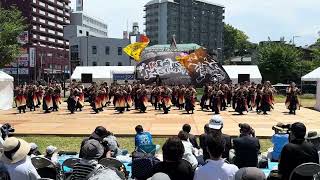 APU よっしゃ虎威 [黒崎よさこい祭り 2024.05.19(日)]