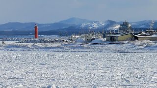 紋別に流氷接岸　平年より２日遅く （2020/02/08）北海道新聞