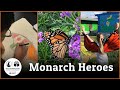 Build a Schoolyard Habitat | Be a Monarch Hero!