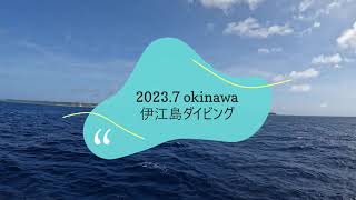 〔2023 〕沖縄・伊江島ダイビング　キャニオン編　4K映像