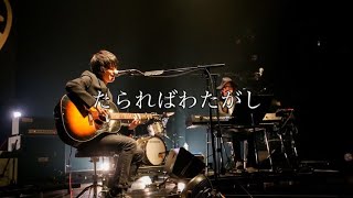 【癒しBGM】たらればわたがし/UNISON SQUARE GARDEN