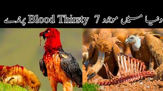 Most Dangerous Birds in the World || Top 7 Most Dangerous bird in the world