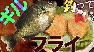 ブルーギルを釣って食う 美味しいフライ River-fishing Catch \u0026 Eat