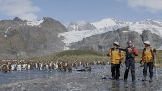 南極クルーズベストルート - Quark Expeditions Falkland Islands, South Georgia \u0026 the Antarctic Peninsula Final