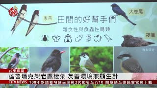 達魯瑪克架老鷹棲架 友善環境兼顧生計 2019-06-29 IPCF-TITV 原文會原視新聞